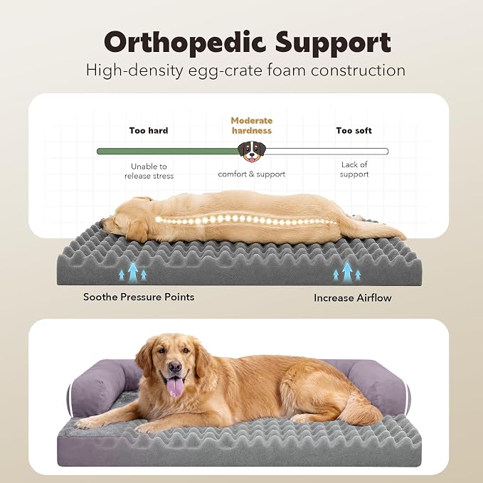 Orthopedic XL Dog Bed with Bolster for Extra Large Size Dogs | Pillow Support for Neck Relief, Egg Crate Foam, Skin-Friendly Surface, Waterproof Liner, Anti-Slip Bottom, 42 x 30 Inch