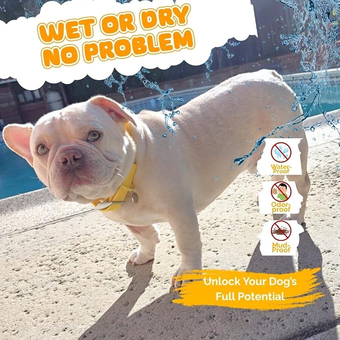 Waterproof Dog Collar, Soft Comfortable Pet Collars, Adjustable Odor Proof Heavy Duty Dog Collars Easy to Clean for Large, Medium Small Dogs by Bee N Buu (Yellow, Large (length15.5-19.5", Width 1"))