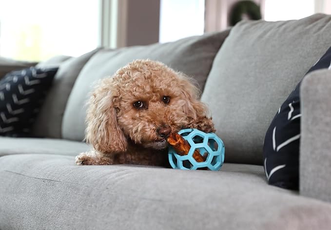 JW Pet HOL-ee Roller Dog Puzzle Ball, Medium 4.5in, Natural Rubber, Blue