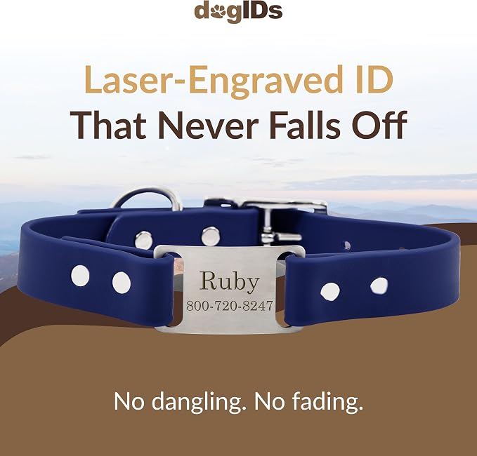 dogIDs Personalized Dog Collar – ScruffTag Custom Waterproof Biothane Dog Collar with Laser-Engraved Name, Durable & Odor-Resistant – USA Made | Navy, 1 in x 18 in (Fits Neck Sizes 16-20 in)