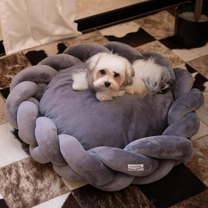 CHEERPALS Weave Cat Bed for Indoor Cats,Cute Pet Bed with Washable Cushion Fluffy Kitty Bed for Small Dog(Dark Gray)