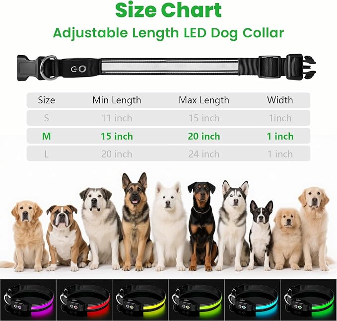Auto Light Up Dog Collar - Smart Safety Night Collar with Motion Sensor - Auto-On in Dark - USB-C Rechargeable - 3 Day Runtime- IP65 Waterproof - M