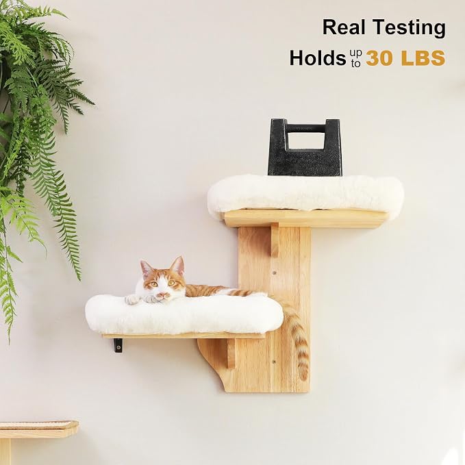 FUKUMARU Cat Wall Shelves, 2 Platform with Soft Cushion Perch | Floating Shelf Kitten Furniture, Solid Rubber Wood Cats Perch For 16 Inch Drywall, Suitable for Climb, Play, Nap