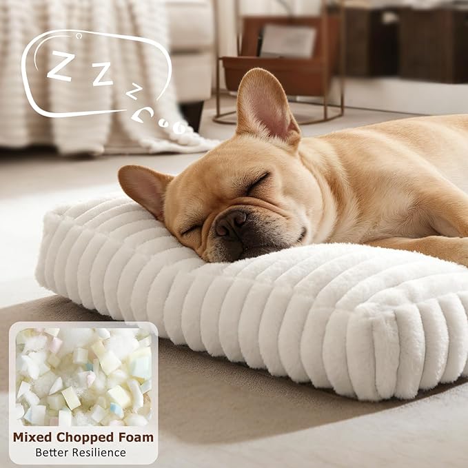 Dog Beds for Small Dogs, Flat Pet Beds with Removable Washable Cover, Pet Mat Cute Dog Crate Bed Thick Shredded Chopped Crate Foam & Anti Slip Bottom for Indoor, 23"x18"x3" Cream