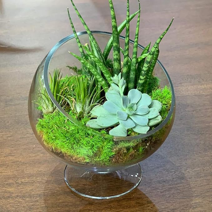 WGV Slant Cut Bowl Glass Vase Bulk with Stand, Width 8.25", Height 8.75", Clear Planter Terrarium, Candy Dish, Fruit Jar for Wedding Party Event, Home Office Decor, 4 Pieces