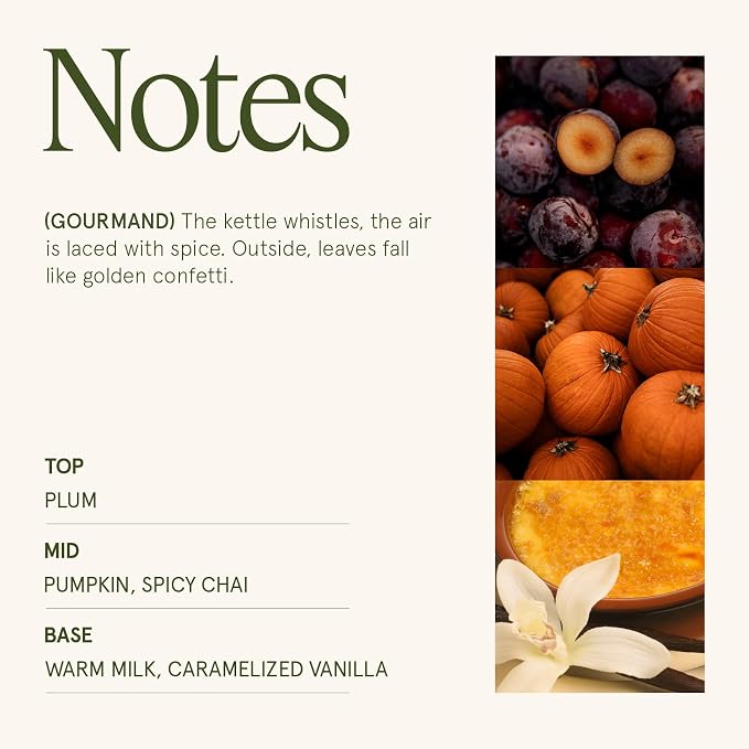LA JOLIE MUSE Pumpkin Chai Home Scented Candle for Fall | Non Toxic Natural Soy | Luxury Jar Candle | Decor Gifts for Women & Men | 40 Hrs