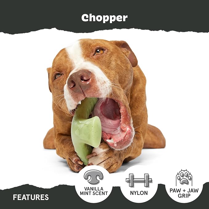 BarkBox Chopper Super Chewer - Toy for Large Dogs | Durable Dog Toy for Aggressive Chewers - Vanilla Mint Scented Chew