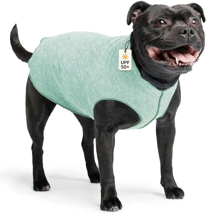 Goldpaw Dog Sun Shirt with UV Protection - Lightweight, Cooling Sun Protection Clothing for Medium Dogs - Reduce Heat Absorption - Made in the USA - Machine Washable - Pistachio Green - Size 16