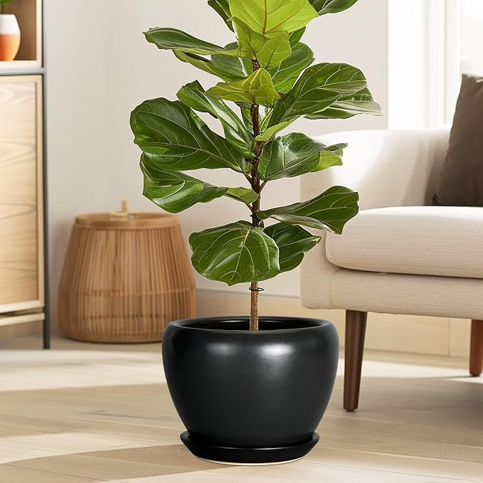Ceramicfor Ceramic Planter Pot - 8 Inch Plant Pot with Drainage Hole and Saucer Round Planter for Indoor Plants Modern Outdoor Flower Pot for House Balcony Black