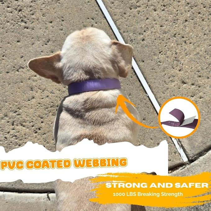 Waterproof Dog Collar, Soft Comfortable Pet Collars, Adjustable Odor Proof Heavy Duty Dog Collars Easy to Clean for Large, Medium Small Dogs by Bee N Buu (Purple, Large (length15.5-19.5", Width 1"))
