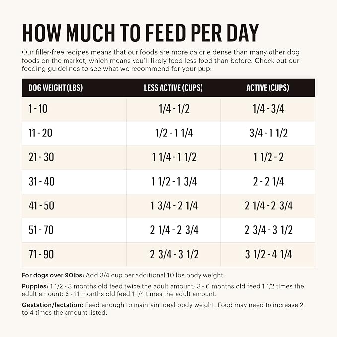 The Honest Kitchen Whole Food Clusters Grain Free Beef Dry Dog Food, 1 lb (Pack of 2)