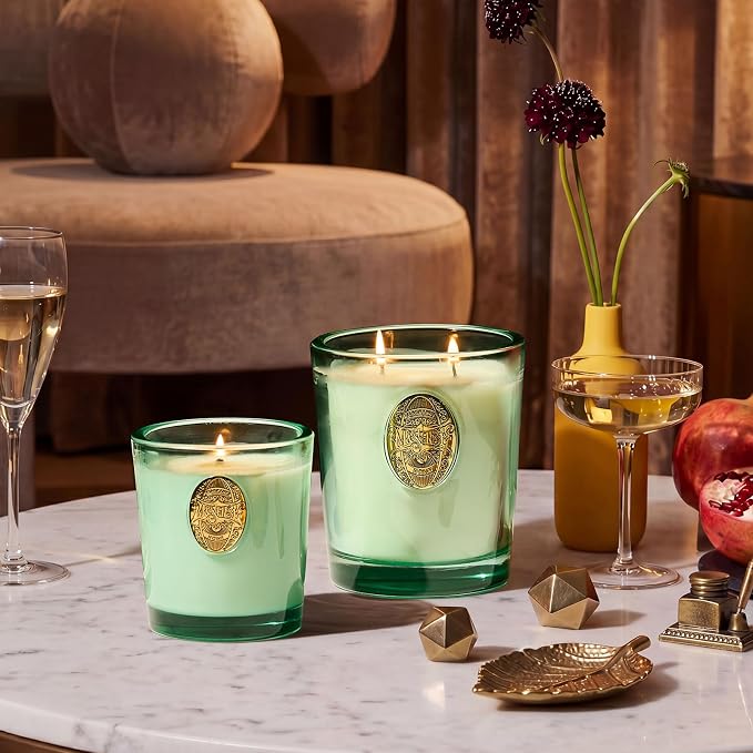 M&SENSE Two-Wick Eucalyptus Mint Candle for Relaxation | 120-Hour Burn Aromatherapy Soy Candle | Calming Stress Relief & Home Fragrance | 19.8 OZ Luxury Scent for Bedroom, Office & Gift