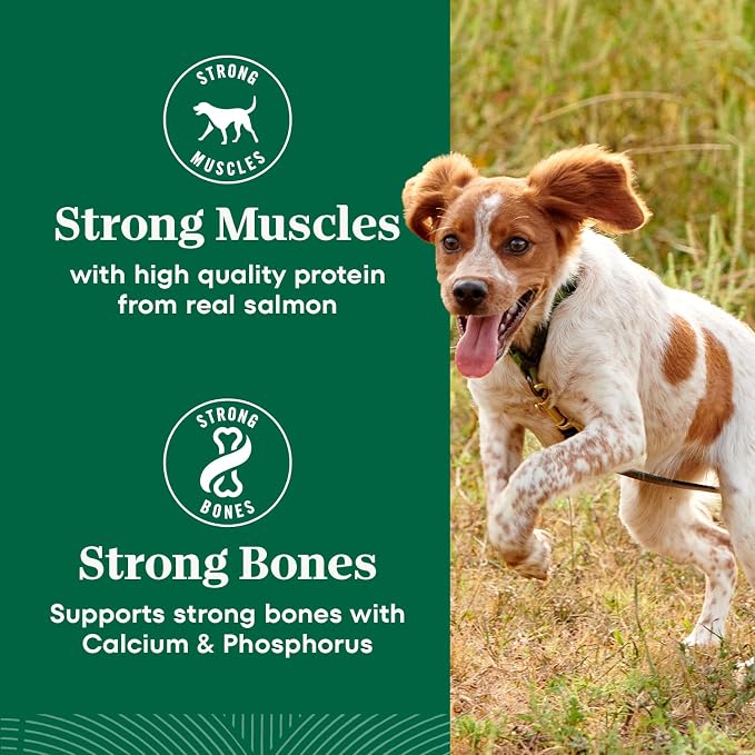 Nutro Natural Choice Small Bites Dry Dog Food, Salmon Recipe, 4.5 lb | Non-GMO, Real salmon #1 ingredient, Omega-3 & Omega-6 for skin & coat, no corn, wheat, soy, supports digestion & immunity