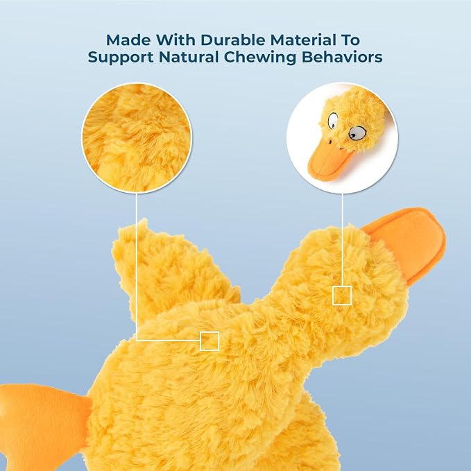 Best Pet Supplies Squeaky Plush Dog Toy - Ducky Doodle, Small | Soft Plush, Squeaks & Crinkles, Perfect for Moderate Chewers, Toss & Fetch Play, Stress & Anxiety Reliever, Ideal Gift Toy