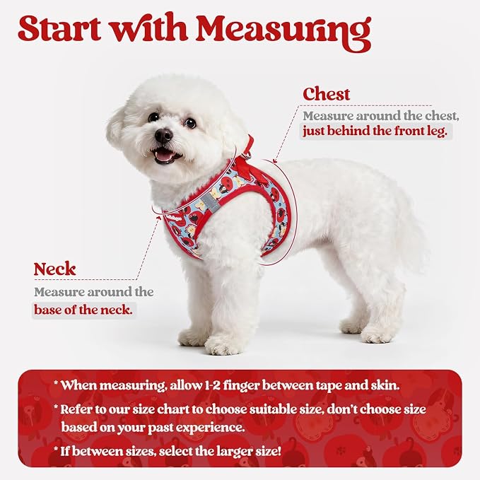 rabbitgoo Dog Harness Small Sized and Leash Set, Step-in Puppy Pet Vest | Light, Soft, Breathable Air Mesh, Easy on and Remove with Hook & Loop, Secure Reflective for Walking, Apple Pups XXS