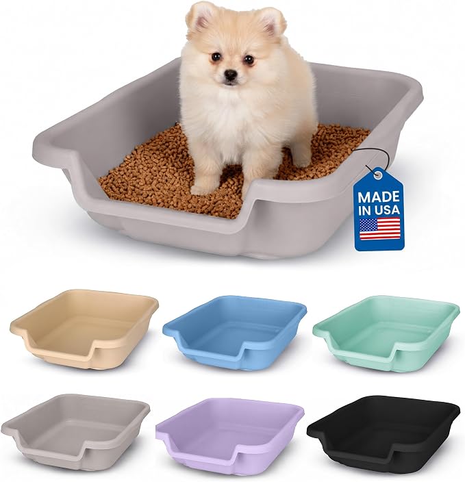 Small Gray Litter Box, Durable & Pet Safe, Open Top Entry, Comfortable for Dogs up to 6 lbs