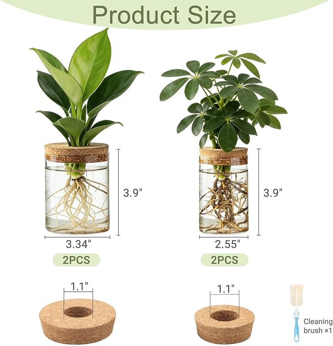 Dahey 4Pcs Glass Plant Propagation Station, 2 Large Vases & 2 Small Pots | Clear Root-View Water Jars, Cork Lids Cut Evaporation, Dust Proof & Soil-Free, Fits Hydroponic Cuttings, Desktop Indoor Decor