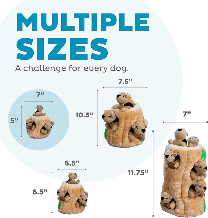Outward Hound Hide-A-Squirrel Dog Toy – Interactive 2‑in‑1 Plush Puzzle with 3 Squeaky Removable Squirrels, Small (Pack of 12)
