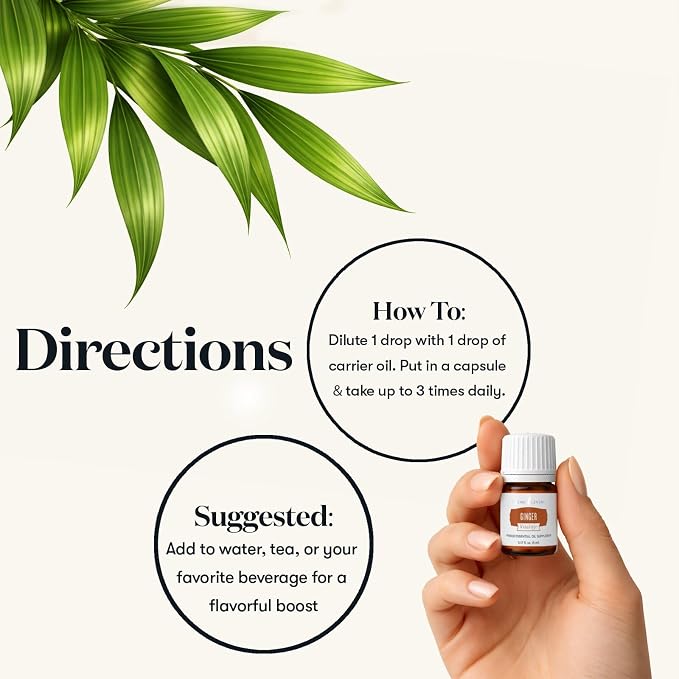 Young Living Ginger Vitality Essential Oil | 5 ml | Premium Aromatherapy & Culinary Oil | Natural Flavor Enhancer for Cooking, Relaxation & Wellness | Supports Digestion & Healthy Lifestyle