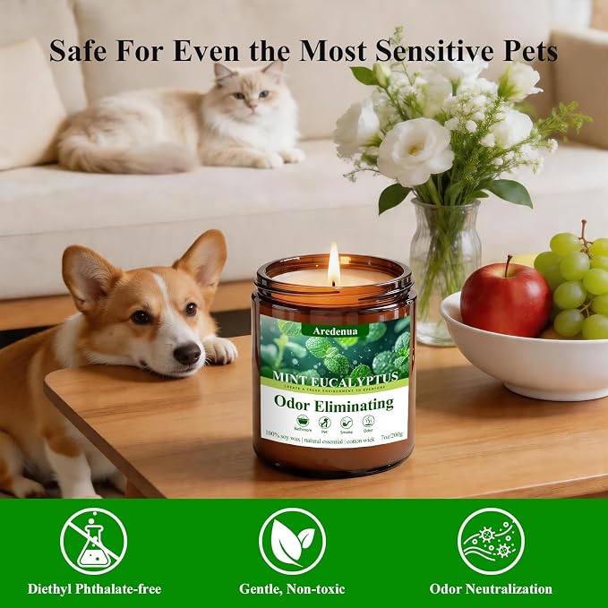 Mint Eucalyptus Odor Eliminating Candles | Eliminates 95% of Pet, Smoke, Food, and Other Smells Quickly – 7 oz Soy Candle for Home Scented - Air Freshing Scented Candles Gifts for Women Men
