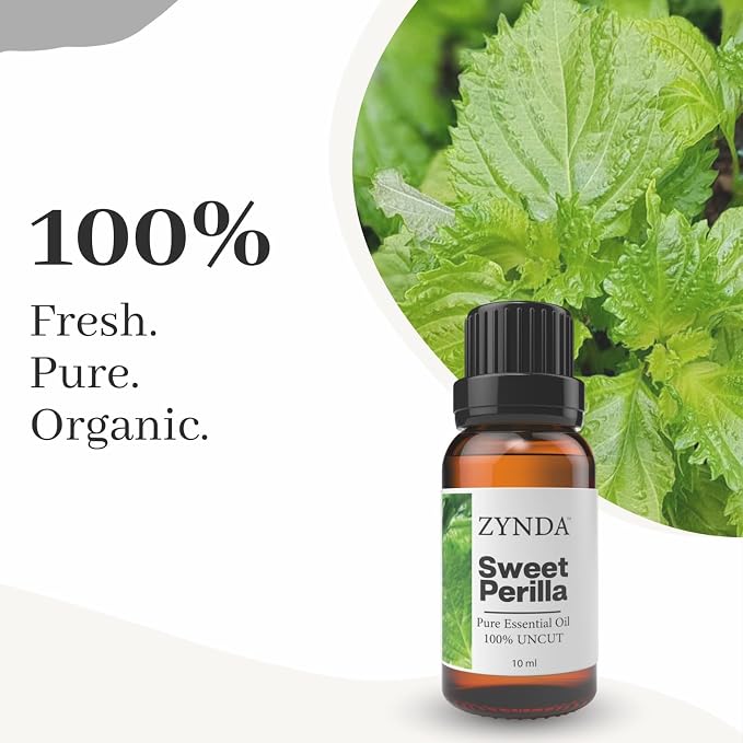 Sweet Perilla Essential Oil – 100% Pure & Natural Essential Oils | Lab Tested Uncut Aromatherapy Oils for Relaxation, Skin & DIY Spa | Premium Perilla Seed Oil 10ml