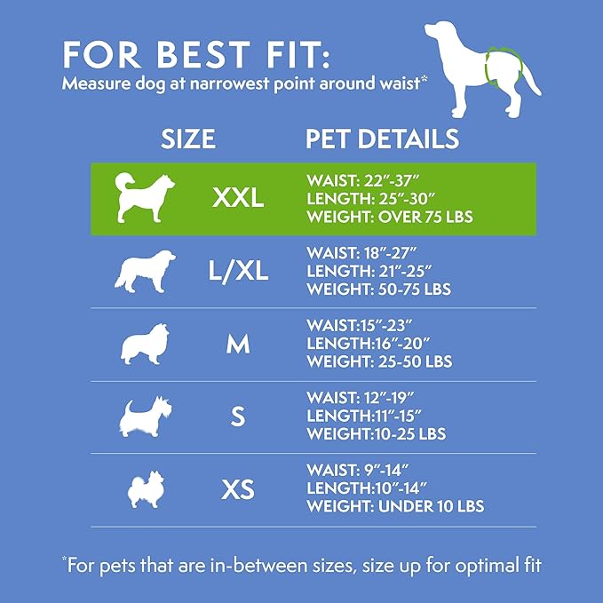 Simple Solution Female Dog Diapers, Disposable Dog Diapers, XXL, 12 Count | Dog in Heat, Potty Training, Incontinence Support, Leak Proof, Puppy Training, Disposable Protection, Secure Fit, 22-37 Inch