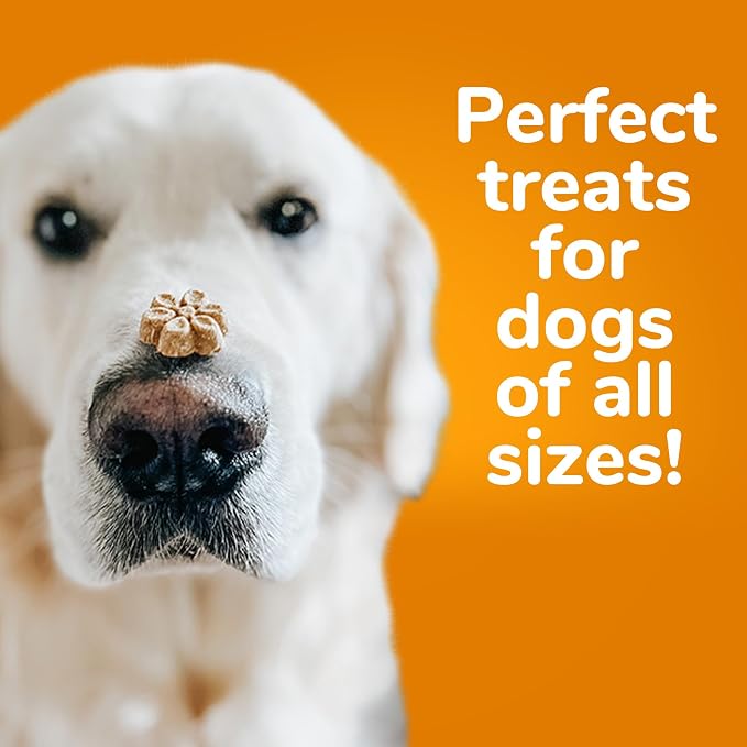 Fruitables Baked Dog Treats, Healthy Pumpkin Treat for Dogs, Low Calorie & Delicious, Free of Wheat, Corn and Soy, Made in the USA, Apple and Crispy Bacon Flavor, 12oz (Pack of 2)