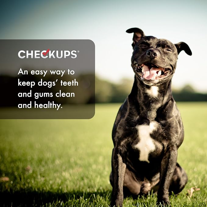 Checkups Dental Dog Treats, 24 Treats - 48 oz. in Each Pack (Pack of 4)