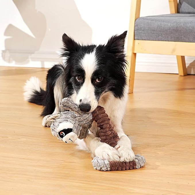 Sedioso Tug of War Dog Toy, Durable Large Breed Dog Toy, Though Stuffed Dog Squeaky Toy with Crinkle Paper for Small, Middle and Big Dogs(Raccoon)