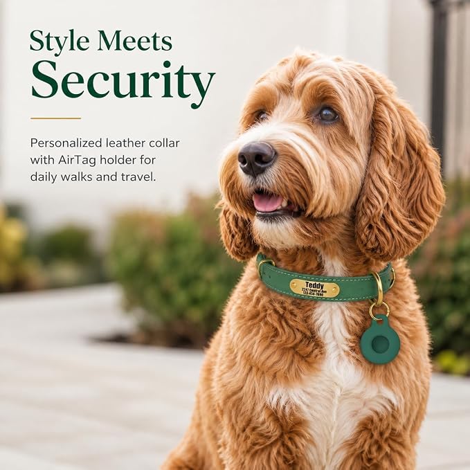 Personalized Genuine Leather Dog Collar with Name Phone Number-Bluegreen-XL