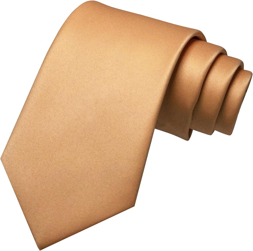 JEMYGINS Solid Color Tie Mens Necktie for Business and Wedding