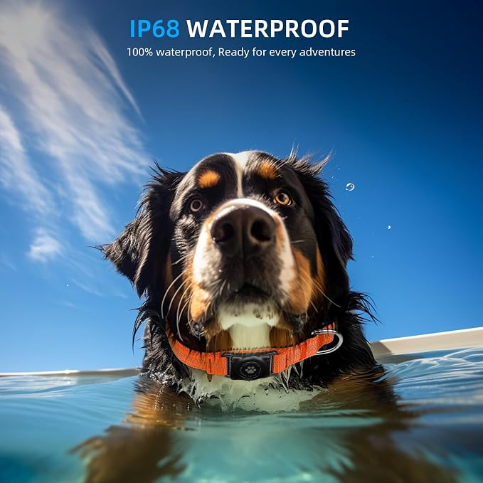 Upgrade Dog Collar with AirTag Holder, IP68 Waterproof, Orange, XS | Built-in Water Resistant AirTag holder, 1000D Nylon, Reflective Stitching for Night Visibility, Soft padding for Comfort