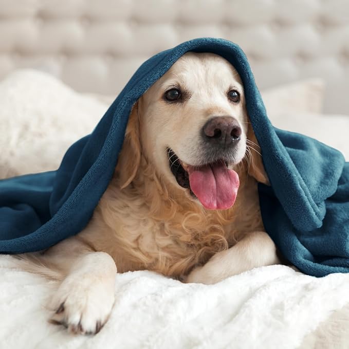 BEDELITE Fleece Blanket Soft Plush Throw for Couch Mineral Blue 50"x60" | Ultra Soft Fleece, Plush Microfiber, Lightweight Warmth, All Season Comfort, Fade Resistant, Machine Washable, Couch Sofa Bed
