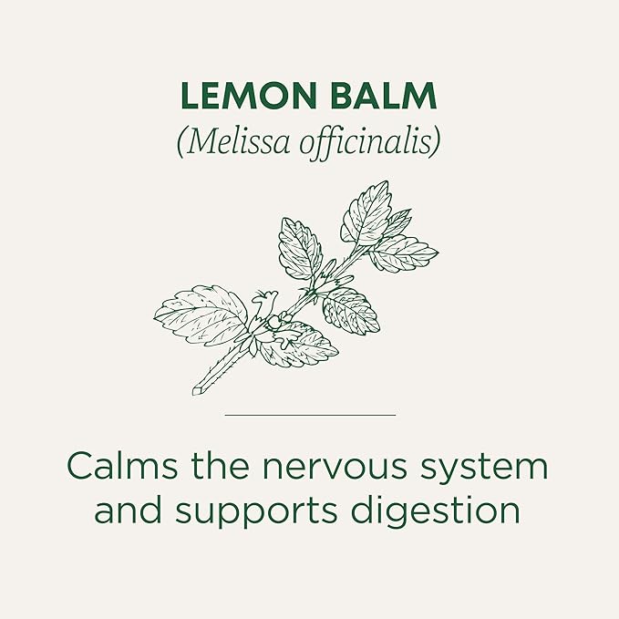 Traditional Medicinals Organic Lemon Balm Tea, Tea Bags | Herbal | Pack of 2 | 16 Count | Calming