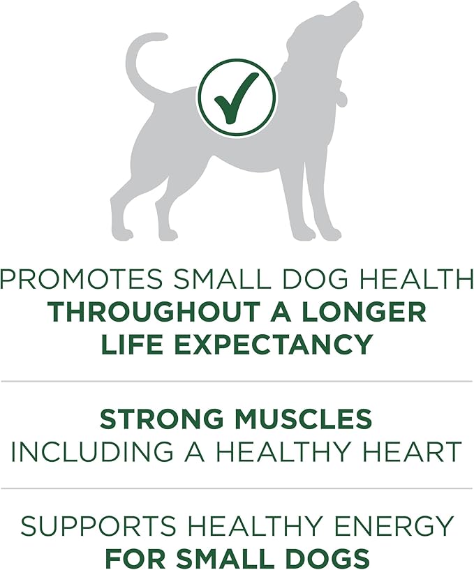 Purina ONE Plus Small Breed High Protein Dry Dog Food, Lamb, 15 lb Bag | Lamb & Rice Formula, natural kibble with a Smartblend of ingredients to support small dog health and energy