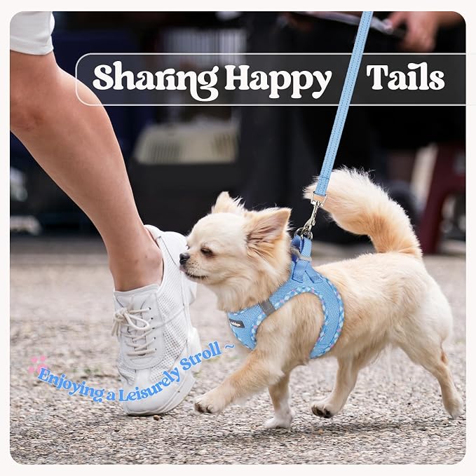 rabbitgoo Dog Harness Small Sized and Leash Set, Step-in Puppy Pet Vest | Light, Soft, Breathable Air Mesh, Easy on and Remove with Hook & Loop, Secure Reflective for Walking, Blue & Plaid Trim M
