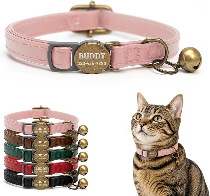 Personalized Breakaway Cat Collar with Name, Pink
