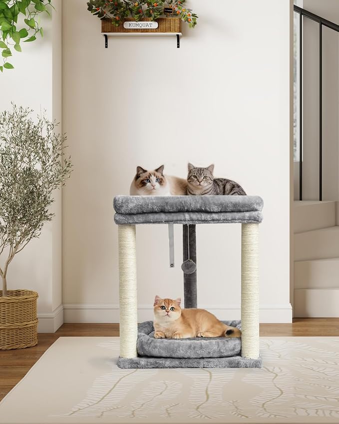 SYANDLVY Small Cat Tree with 2-Tier Perch Platforms, Scratching Post Tower | Natural Sisal, Hanging Bell Ball & Anti-Tip Strap, Modern Cat Furniture for Indoor Cats, Grey