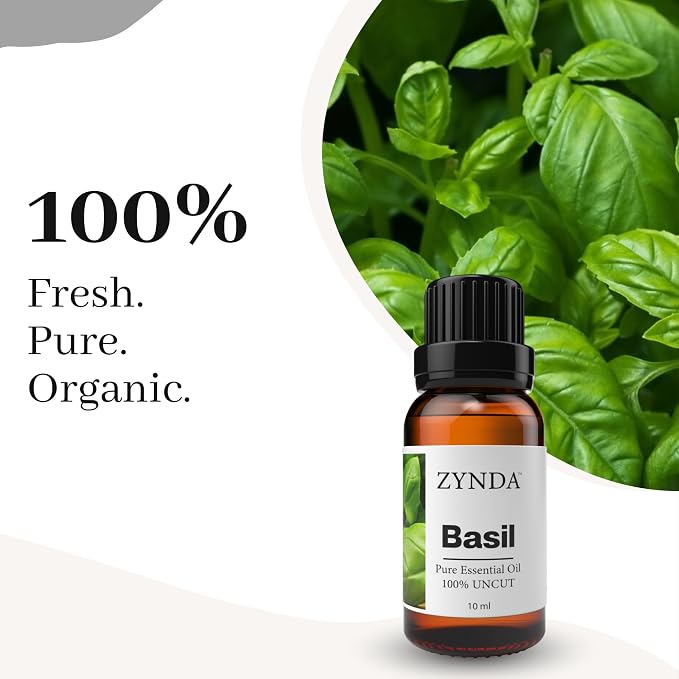 Basil Essential Oil 100% Pure & Natural – Premium Aromatherapy Oil for Diffuser, Massage, Relaxation & Culinary Use – Steam Distilled Uncut Basil Essential Oil Organic, 10ml