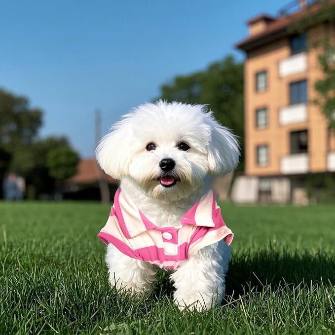 Pistha Dog Shirt Polo Shirt Striped Puppy Clothes for Boy Girl Pets | Dog Shirt Dog Clothes Pet Clothes with Summer Button Up for Small Medium Dogs Cats