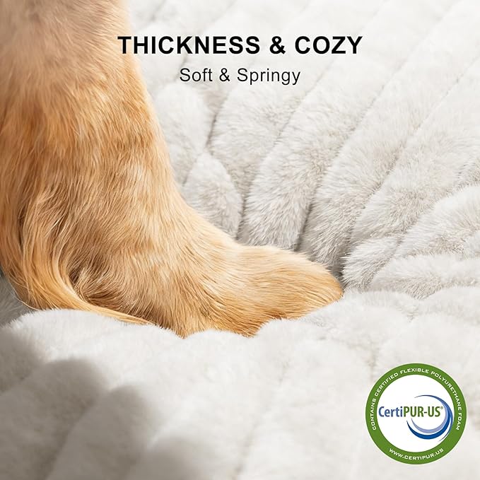 FURTIME Dog Bed for Small Medium Dog, Washable Orthopedic Pet Bed with Removable Cover, Rectangle Soft Calming Sleeping Puppy Bed Durable Pet Cuddler with Anti-Slip Bottom, Cream, M (25"x21"x7")