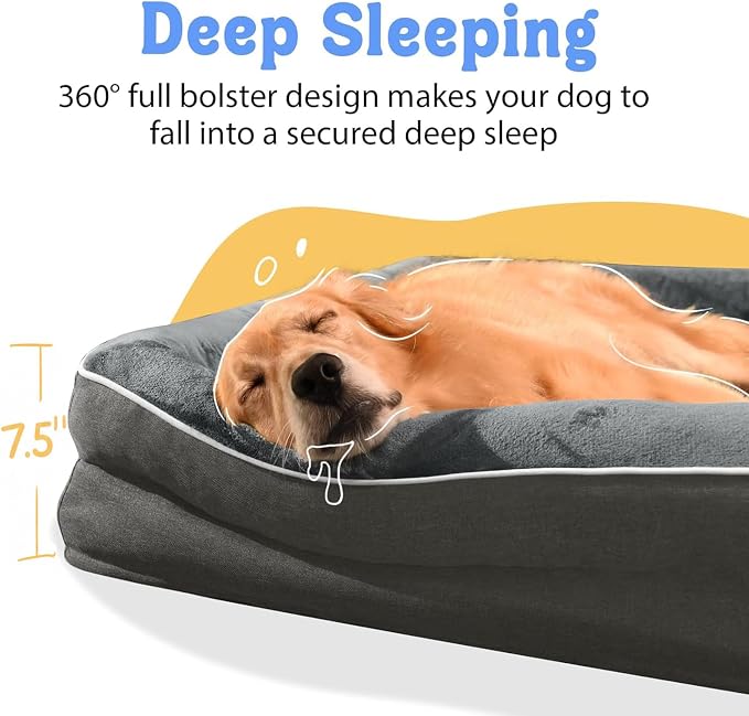 Waterproof Orthopedic XL Dog Bed for Large and Extra Large Dogs | Egg Crate Foam, 4-Sided Bolster Support, Waterproof Liner, Non-Slip Bottom, Machine Washable Cover, 42 x 30 Inch