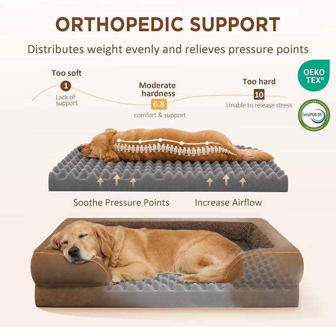 Comfort Expression Waterproof Orthopedic Dog Bed for Medium Size Dog | Supportive Egg Crate Foam Medium Pet Bed with Removable Bolsters, Dog Couch with Washable Cover & Non-Slip Bottom, 30x20 Inch