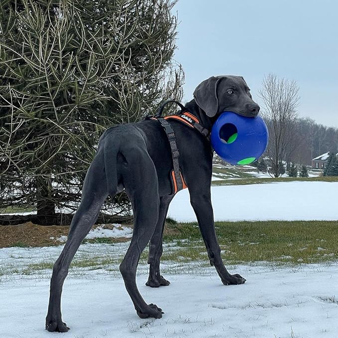 Jolly Pets Teaser Ball Interactive Dog Toy, 8 in Large, Blue