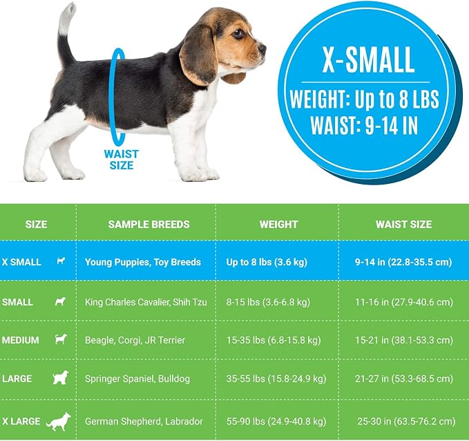 Bodhi Dog Disposable Male Dog Diapers - Super Absorbent, Leak-Proof Pee Wraps - Adjustable Fit, Comfortable Design, Advanced Moisture Control, and Wetness Indicator - Extra Small (20 Count)