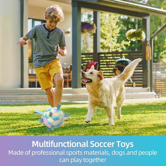 QDAN Herding Ball for Dogs, Soccer Interactive Toys for Large Dogs, 8 Inch