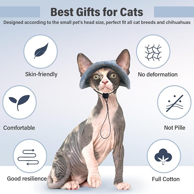 DENTRUN Cat Bucket Hat with Ear Hole, Cotton Birthday Bonnet for Small Pets | Breathable cotton, Adjustable Secures fit, For birthday Party, For small cats, daily cute photos