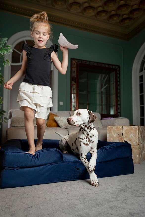 NOAH & PAW XL Dog Bed, 45x35x11 Inch, Orthopedic Large Dog Beds, Eggshell Memory Foam Infused with Cooling Gel, Inner Cover, Water Resistant, Machine Washable (Denim Sofa Collection)