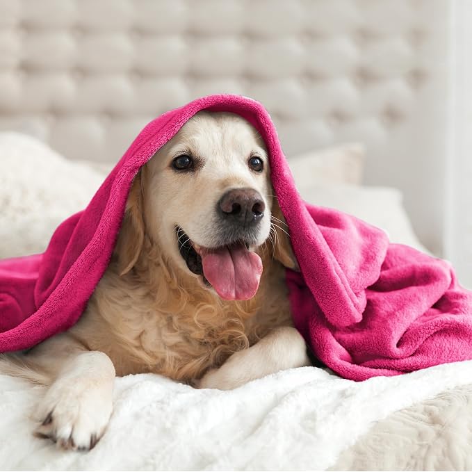 BEDELITE Fleece Blanket Soft Plush Twin Size Blanket Hot Pink 60"x80" | Ultra Soft Fleece, Plush Microfiber, Lightweight Warmth, All Season Comfort, Fade Resistant, Machine Washable, Couch Sofa Bed