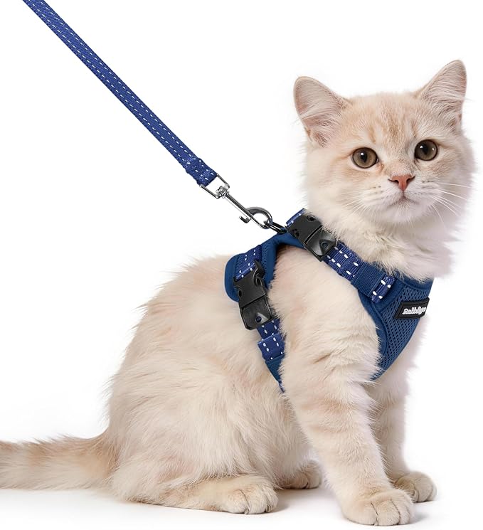 rabbitgoo Cat Harness and Leash Set, Easy-on with Neck Buckle, Navy Blue